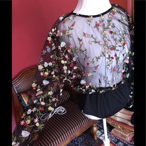 Boohoo Plus Sheer Floral Embroidered Bodysuit